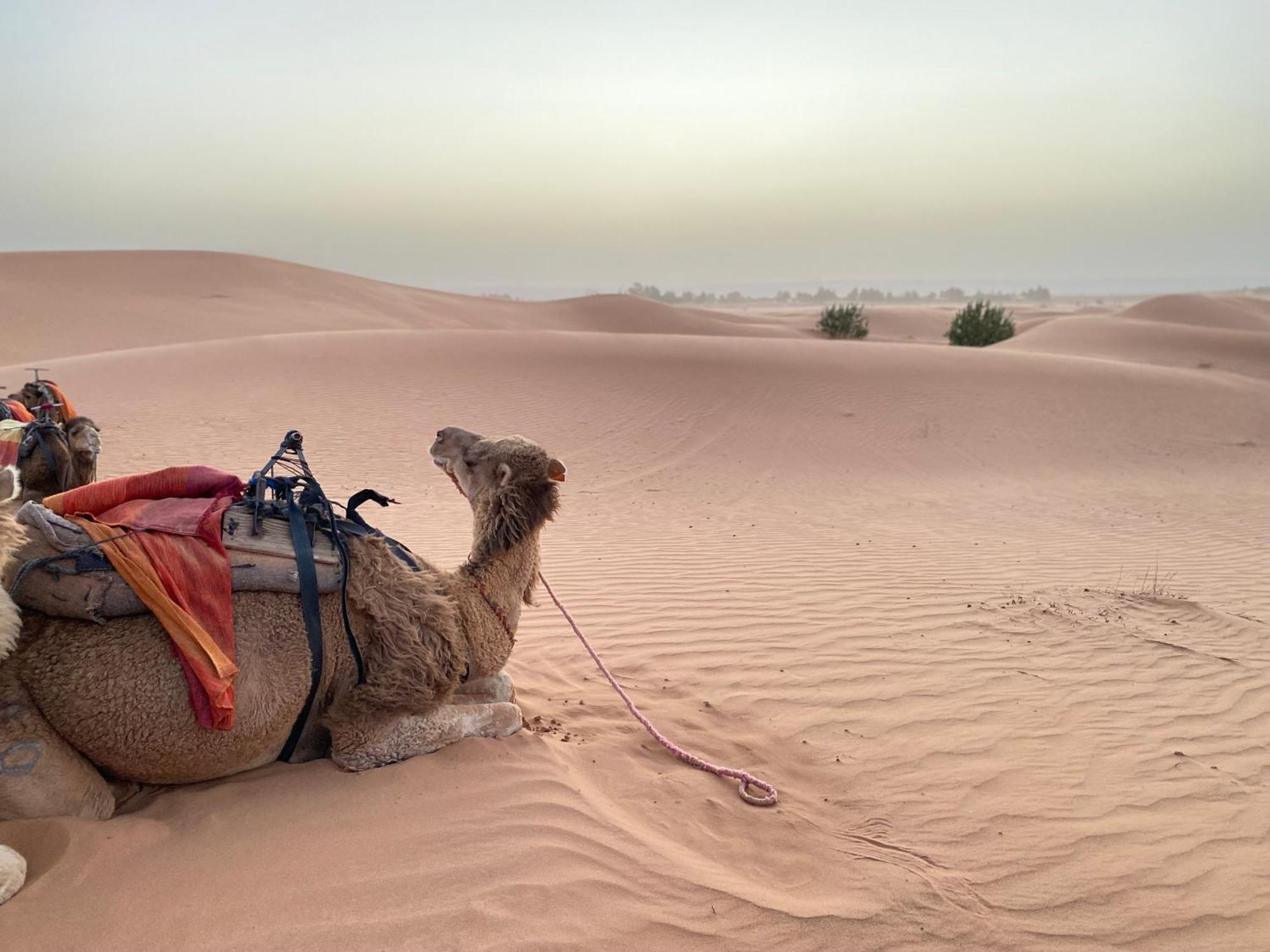 Erg Chebbi Sahara Camp Hotel Merzuga Kültér fotó